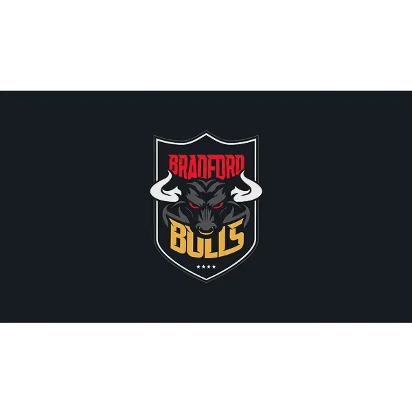 Bradford Bulls